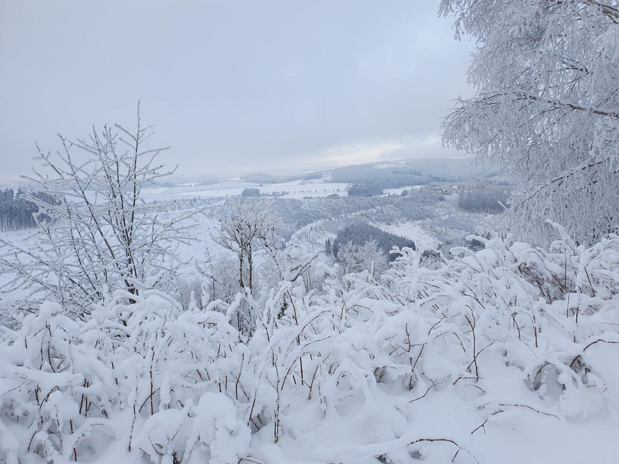 Pension Hubertus Winterberg Bagian luar foto