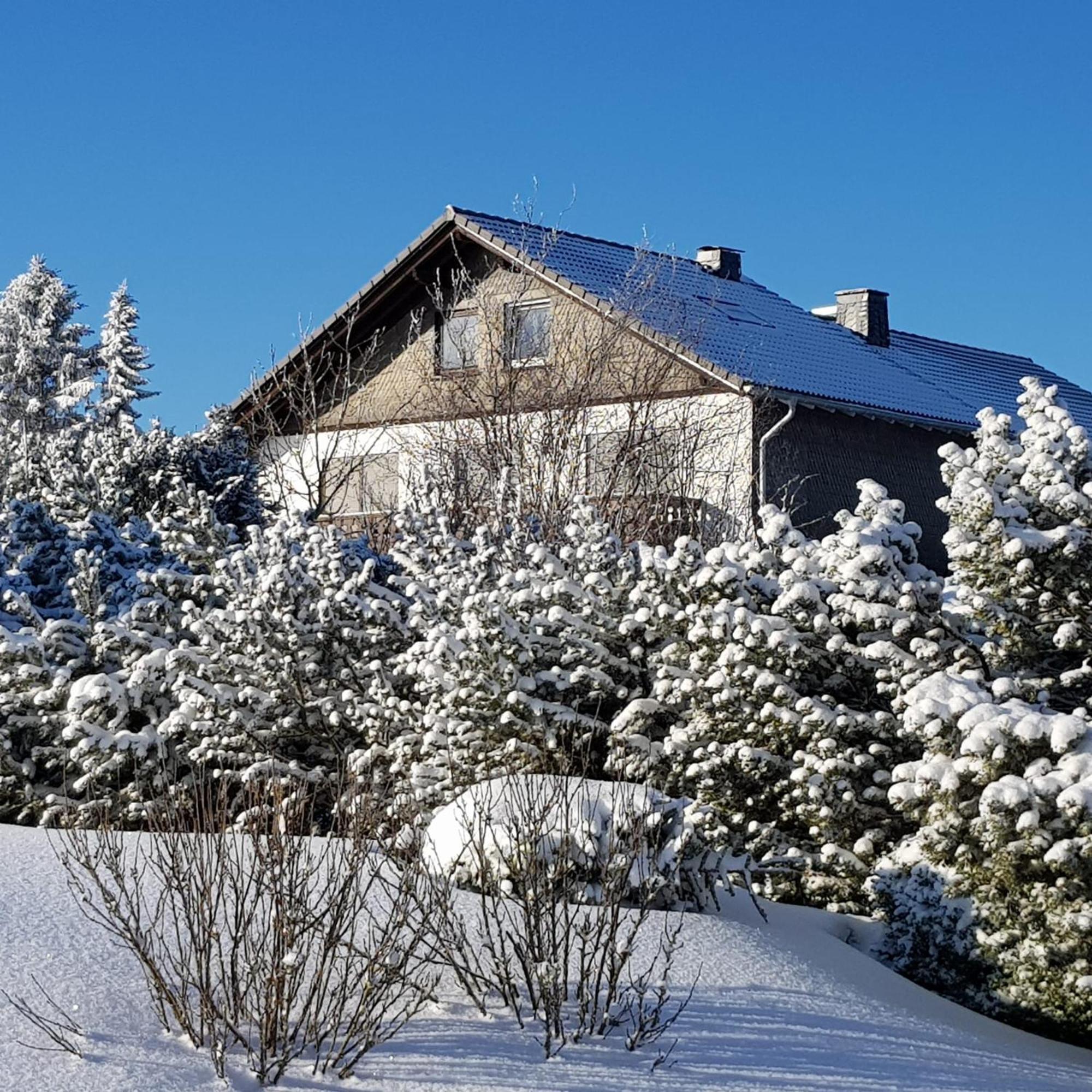 Pension Hubertus Winterberg Bagian luar foto