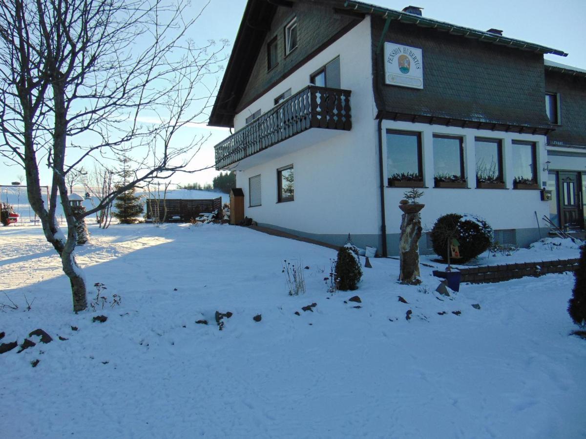 Pension Hubertus Winterberg Bagian luar foto
